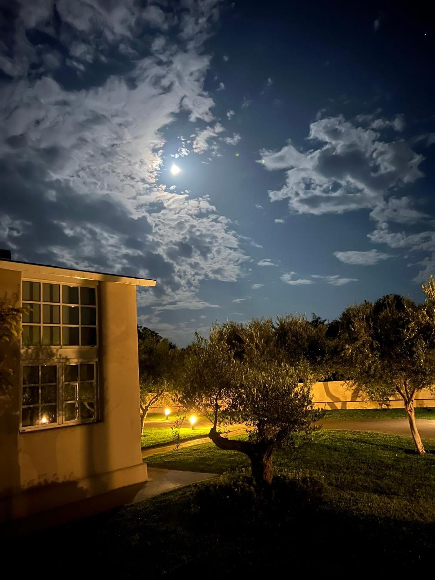 Ta Spitakia Villa Kos Town Exterior photo