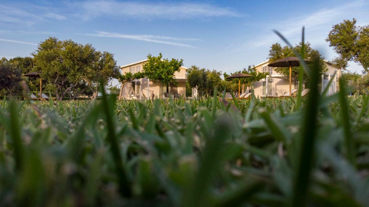 Ta Spitakia Villa Kos Town Exterior photo